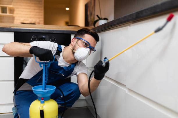Best Pest Control Near Me  in Piedmont, CA