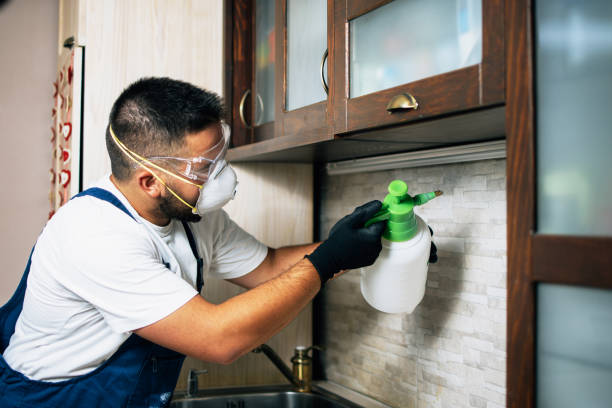 Best Local Pest Control Services  in Piedmont, CA