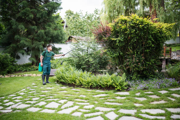 Best Cockroach Control Services  in Piedmont, CA