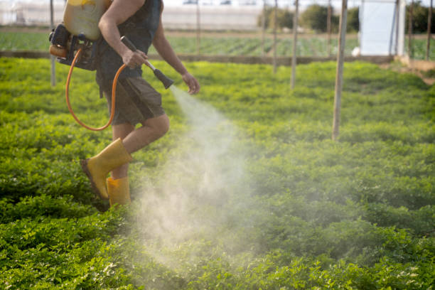 Best Best Pest Control Companies  in Piedmont, CA