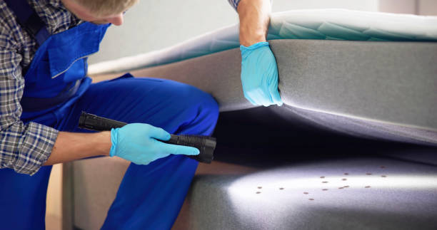 Best Termite Control Services  in Piedmont, CA