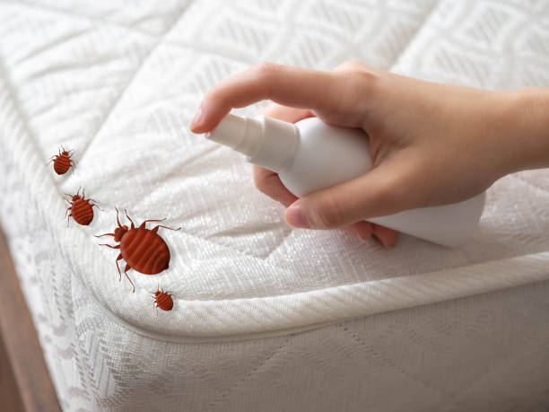 Best Commercial Pest Control Services  in Piedmont, CA
