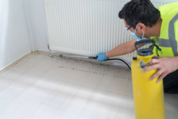 Best Affordable Pest Control Services  in Piedmont, CA