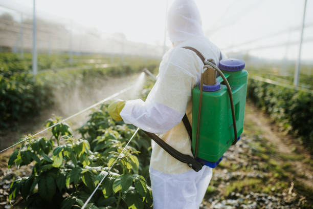 Best Pest Prevention Services  in Piedmont, CA